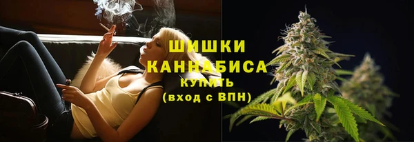 мет Бородино