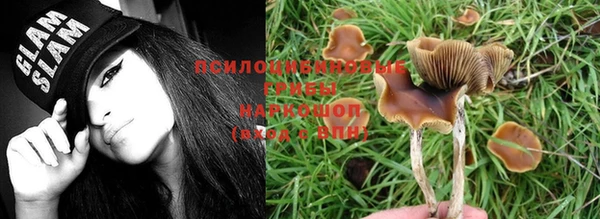 мет Бородино